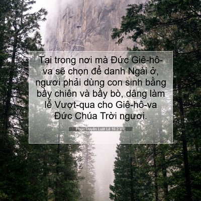 Picture 07 - Phục Truyền Luật Lệ 16:2 VIE - Tại trong nơi mà Đức Giê-hô-va sẽ - Bible Verse Picture
