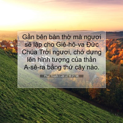 Picture 07 - Phục Truyền Luật Lệ 16:21 VIE - Gần bên bàn thờ mà ngươi sẽ lập cho - Bible Verse Picture