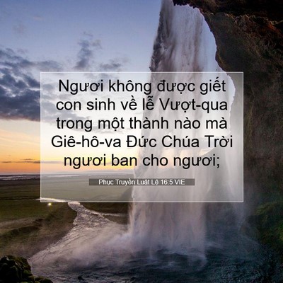 Picture 07 - Phục Truyền Luật Lệ 16:5 VIE - Ngươi không được giết con sinh về lễ - Bible Verse Picture