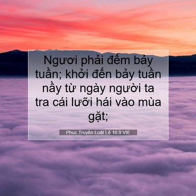 Picture 07 - Phục Truyền Luật Lệ 16:9 VIE - Ngươi phải đếm bảy tuần; khởi đến - Bible Verse Picture