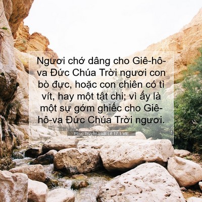 Picture 07 - Phục Truyền Luật Lệ 17:1 VIE - Ngươi chớ dâng cho Giê-hô-va Đức Chúa - Bible Verse Picture