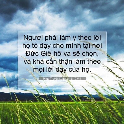 Picture 07 - Phục Truyền Luật Lệ 17:10 VIE - Ngươi phải làm y theo lời họ tỏ dạy - Bible Verse Picture