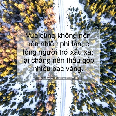 Picture 07 - Phục Truyền Luật Lệ 17:17 VIE - Vua cũng không nên kén nhiều phi tần, e - Bible Verse Picture