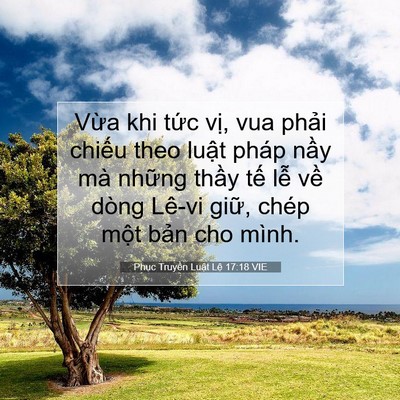Picture 07 - Phục Truyền Luật Lệ 17:18 VIE - Vừa khi tức vị, vua phải chiếu theo - Bible Verse Picture