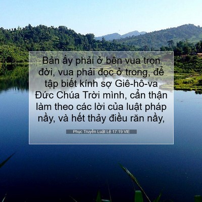 Picture 07 - Phục Truyền Luật Lệ 17:19 VIE - Bản ấy phải ở bên vua trọn đời, vua - Bible Verse Picture