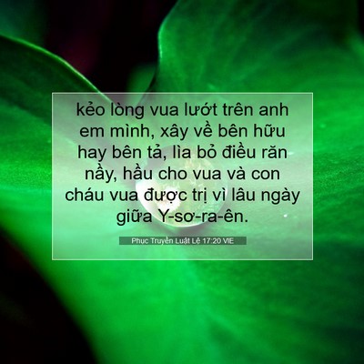 Picture 07 - Phục Truyền Luật Lệ 17:20 VIE - kẻo lòng vua lướt trên anh em mình, xây - Bible Verse Picture
