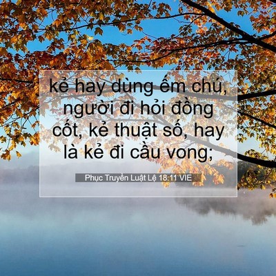 Picture 07 - Phục Truyền Luật Lệ 18:11 VIE - kẻ hay dùng ếm chú, người đi hỏi - Bible Verse Picture