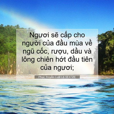 Picture 07 - Phục Truyền Luật Lệ 18:4 VIE - Ngươi sẽ cấp cho người của đầu mùa - Bible Verse Picture