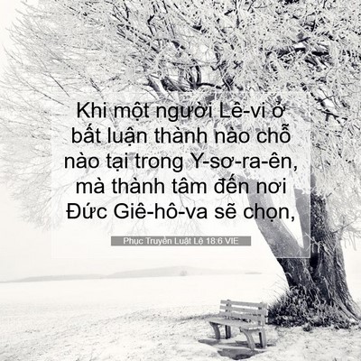 Picture 07 - Phục Truyền Luật Lệ 18:6 VIE - Khi một người Lê-vi ở bất luận thành - Bible Verse Picture