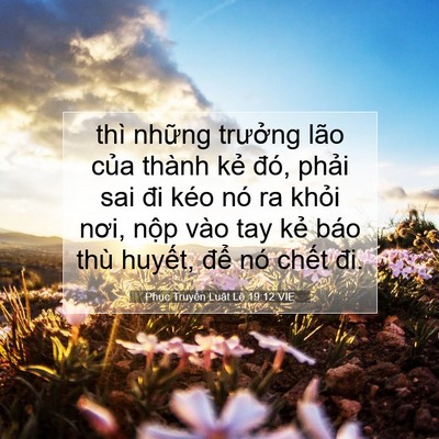 Picture 07 - Phục Truyền Luật Lệ 19:12 VIE - thì những trưởng lão của thành kẻ - Bible Verse Picture