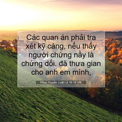 Picture 07 - Phục Truyền Luật Lệ 19:18 VIE - Các quan án phải tra xét kỹ càng, nếu - Bible Verse Picture