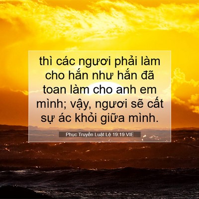 Picture 07 - Phục Truyền Luật Lệ 19:19 VIE - thì các ngươi phải làm cho hắn như - Bible Verse Picture
