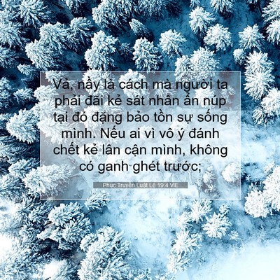 Picture 07 - Phục Truyền Luật Lệ 19:4 VIE - Vả, nầy là cách mà người ta phải - Bible Verse Picture