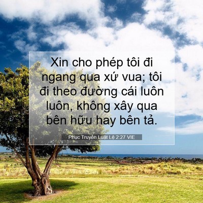 Picture 07 - Phục Truyền Luật Lệ 2:27 VIE - Xin cho phép tôi đi ngang qua xứ vua; tôi - Bible Verse Picture