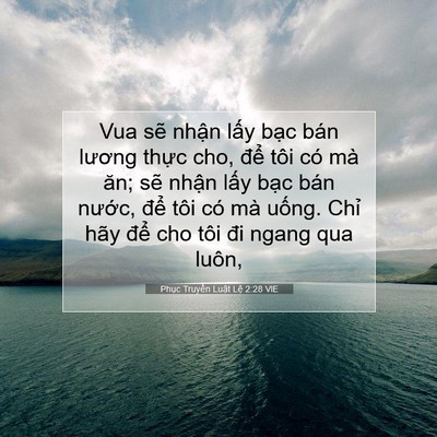 Picture 07 - Phục Truyền Luật Lệ 2:28 VIE - Vua sẽ nhận lấy bạc bán lương thực - Bible Verse Picture