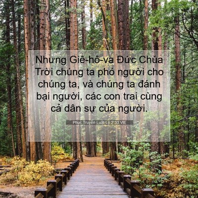 Picture 07 - Phục Truyền Luật Lệ 2:33 VIE - Nhưng Giê-hô-va Đức Chúa Trời chúng ta - Bible Verse Picture