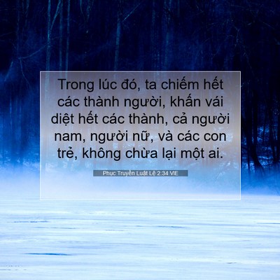 Picture 07 - Phục Truyền Luật Lệ 2:34 VIE - Trong lúc đó, ta chiếm hết các thành - Bible Verse Picture