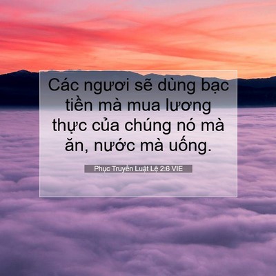 Picture 07 - Phục Truyền Luật Lệ 2:6 VIE - Các ngươi sẽ dùng bạc tiền mà mua - Bible Verse Picture