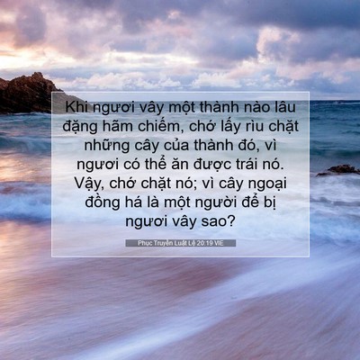 Picture 07 - Phục Truyền Luật Lệ 20:19 VIE - Khi ngươi vây một thành nào lâu đặng - Bible Verse Picture
