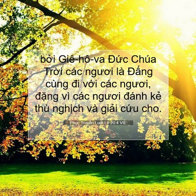 Picture 07 - Phục Truyền Luật Lệ 20:4 VIE - bởi Giê-hô-va Đức Chúa Trời các - Bible Verse Picture