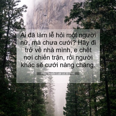 Picture 07 - Phục Truyền Luật Lệ 20:7 VIE - Ai đã làm lễ hỏi một người nữ, mà - Bible Verse Picture
