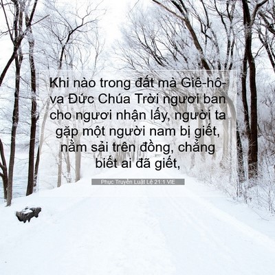 Picture 07 - Phục Truyền Luật Lệ 21:1 VIE - Khi nào trong đất mà Giê-hô-va Đức - Bible Verse Picture