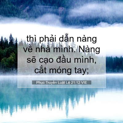Picture 07 - Phục Truyền Luật Lệ 21:12 VIE - thì phải dẫn nàng về nhà mình. Nàng - Bible Verse Picture