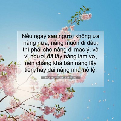 Picture 07 - Phục Truyền Luật Lệ 21:14 VIE - Nếu ngày sau ngươi không ưa nàng nữa, - Bible Verse Picture