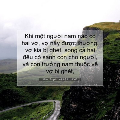 Picture 07 - Phục Truyền Luật Lệ 21:15 VIE - Khi một người nam nào có hai vợ, vợ - Bible Verse Picture