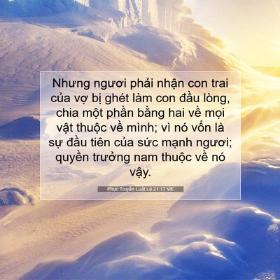 Picture 07 - Phục Truyền Luật Lệ 21:17 VIE - Nhưng ngươi phải nhận con trai của vợ - Bible Verse Picture