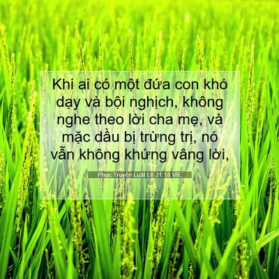 Picture 07 - Phục Truyền Luật Lệ 21:18 VIE - Khi ai có một đứa con khó dạy và bội - Bible Verse Picture