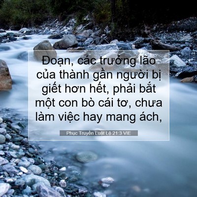 Picture 07 - Phục Truyền Luật Lệ 21:3 VIE - Đoạn, các trưởng lão của thành gần - Bible Verse Picture