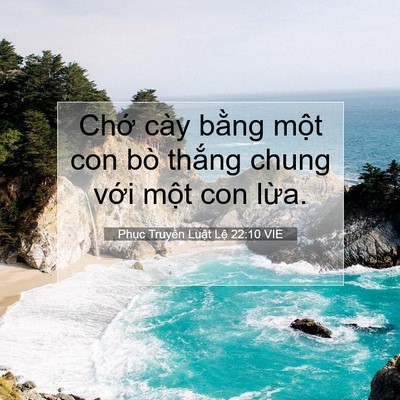 Picture 07 - Phục Truyền Luật Lệ 22:10 VIE - Chớ cày bằng một con bò thắng chung - Bible Verse Picture