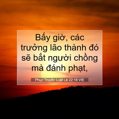 Picture 07 - Phục Truyền Luật Lệ 22:18 VIE - Bấy giờ, các trưởng lão thành đó sẽ - Bible Verse Picture
