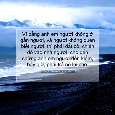 Picture 07 - Phục Truyền Luật Lệ 22:2 VIE - Ví bằng anh em ngươi không ở gần - Bible Verse Picture