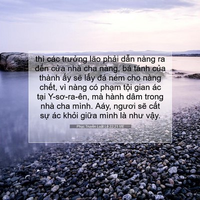 Picture 07 - Phục Truyền Luật Lệ 22:21 VIE - thì các trưởng lão phải dẫn nàng ra - Bible Verse Picture