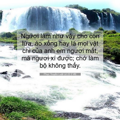 Picture 07 - Phục Truyền Luật Lệ 22:3 VIE - Ngươi làm như vậy cho con lừa, áo xống - Bible Verse Picture
