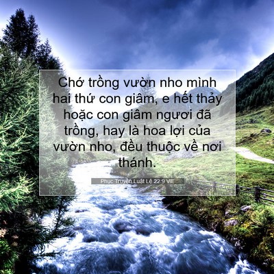 Picture 07 - Phục Truyền Luật Lệ 22:9 VIE - Chớ trồng vườn nho mình hai thứ con - Bible Verse Picture
