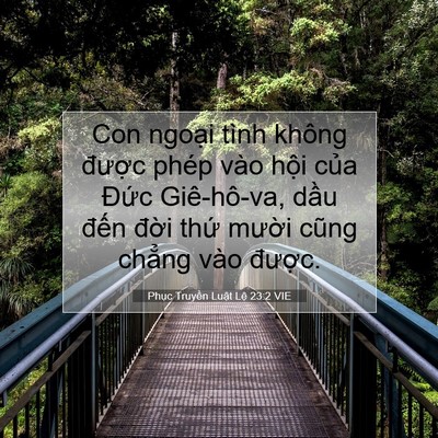 Picture 07 - Phục Truyền Luật Lệ 23:2 VIE - Con ngoại tình không được phép vào - Bible Verse Picture