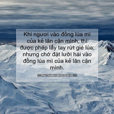 Picture 07 - Phục Truyền Luật Lệ 23:25 VIE - Khi ngươi vào đồng lúa mì của kẻ lân - Bible Verse Picture