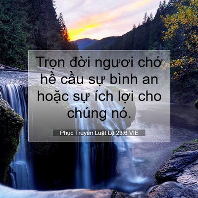 Picture 07 - Phục Truyền Luật Lệ 23:6 VIE - Trọn đời ngươi chớ hề cầu sự bình - Bible Verse Picture