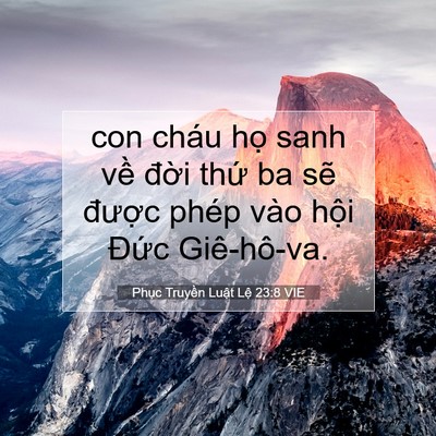 Picture 07 - Phục Truyền Luật Lệ 23:8 VIE - con cháu họ sanh về đời thứ ba sẽ - Bible Verse Picture