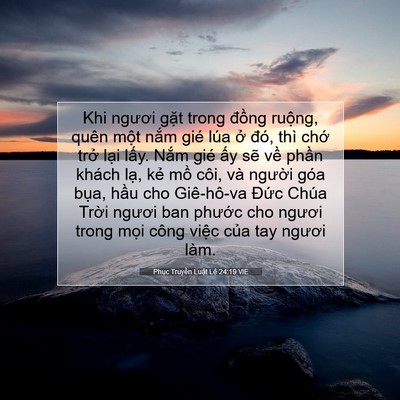 Picture 07 - Phục Truyền Luật Lệ 24:19 VIE - Khi ngươi gặt trong đồng ruộng, quên - Bible Verse Picture