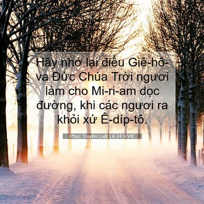 Picture 07 - Phục Truyền Luật Lệ 24:9 VIE - Hãy nhớ lại điều Giê-hô-va Đức Chúa - Bible Verse Picture