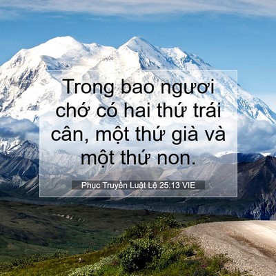 Picture 07 - Phục Truyền Luật Lệ 25:13 VIE - Trong bao ngươi chớ có hai thứ trái cân, - Bible Verse Picture