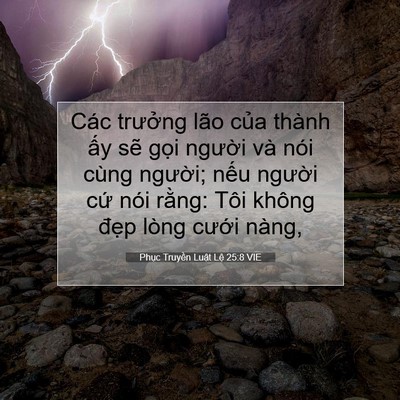 Picture 07 - Phục Truyền Luật Lệ 25:8 VIE - Các trưởng lão của thành ấy sẽ gọi - Bible Verse Picture