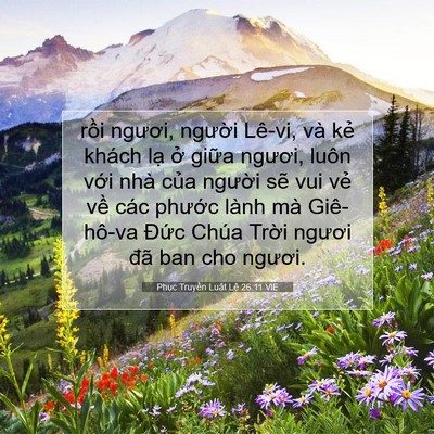 Picture 07 - Phục Truyền Luật Lệ 26:11 VIE - rồi ngươi, người Lê-vi, và kẻ khách - Bible Verse Picture