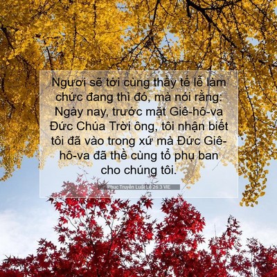 Picture 07 - Phục Truyền Luật Lệ 26:3 VIE - Ngươi sẽ tới cùng thầy tế lễ làm - Bible Verse Picture