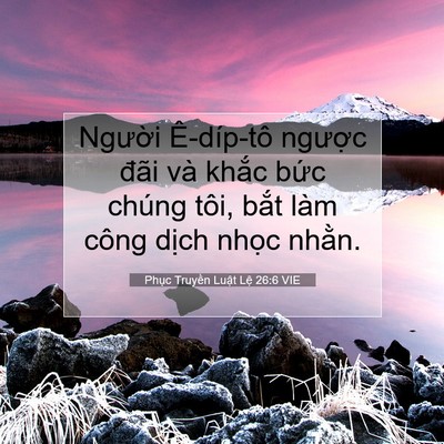 Picture 07 - Phục Truyền Luật Lệ 26:6 VIE - Người Ê-díp-tô ngược đãi và khắc - Bible Verse Picture