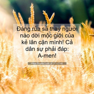 Picture 07 - Phục Truyền Luật Lệ 27:17 VIE - Đáng rủa sả thay người nào dời mộc - Bible Verse Picture